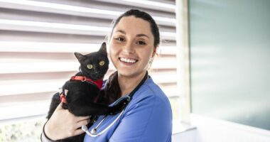 Vet nurse shares important action to take if your cat stops breathing