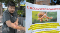 Vicious squirrel sends 2 San Rafael, California residents to ER after neighbors report series of frightening attacks