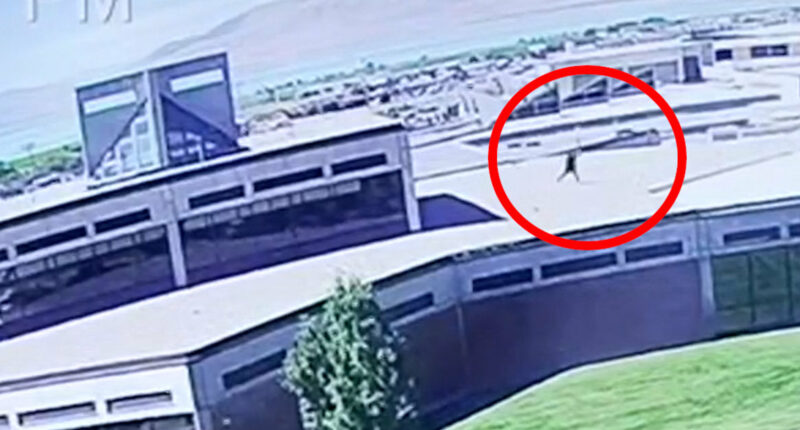 Video shows apparent Charlie Kirk shooter fleeing scene