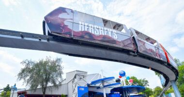 Video shows dramatic rescue of young boy walking on elevated monorail at Pennsylvania's Hersheypark