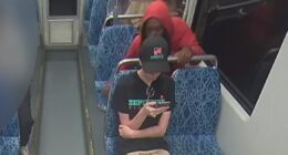 Video shows moments prior to fatal train stabbing