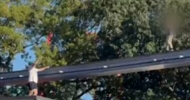 Video shows rescue of boy walking on monorail track at Hersheypark
