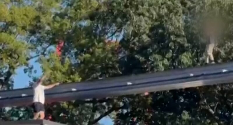 Video shows rescue of boy walking on monorail track at Hersheypark