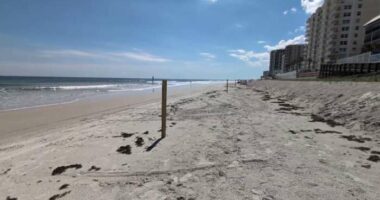 Volusia County prepares for Imelda’s impacts on coastal projects