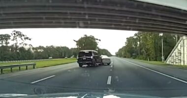Volusia Sheriff arrests man after P.I.T. maneuver