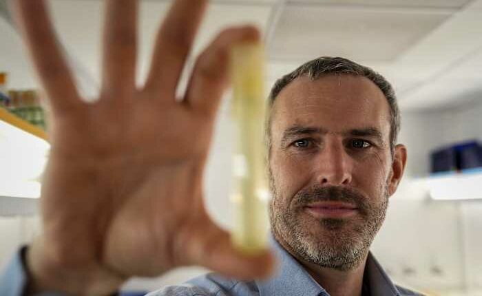 Warming seas threaten key phytoplankton species that fuels the food web, study finds