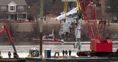 Washington plane crash victim's family sues FAA, Army and American Airlines