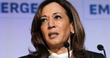 Watch: Kamala Harris' Book Tour Stop in NYC Goes Awry After Anti-Israel Protesters Show Up