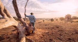 Water taps risk running dry in vast swathes of Australia