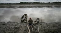 Well-preserved Amazon rainforest on Indigenous lands can protect people from diseases, study finds