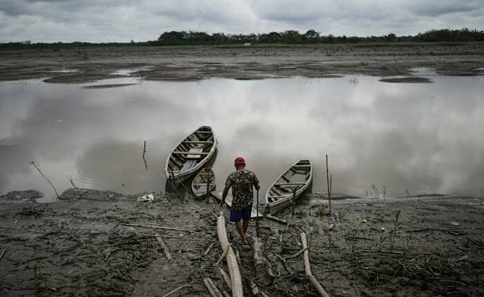 Well-preserved Amazon rainforest on Indigenous lands can protect people from diseases, study finds