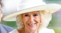 What is acute sinusitis? Symptoms explained as Queen Camilla pulls out of major event