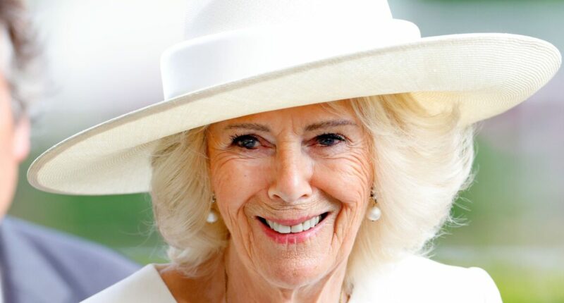 What is acute sinusitis? Symptoms explained as Queen Camilla pulls out of major event