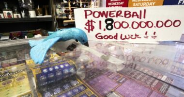 What to do immediately after winning the Powerball jackpot, according to experts
