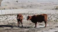 Where 'day-zero droughts' could happen as soon as this decade