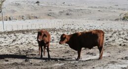 Where 'day-zero droughts' could happen as soon as this decade