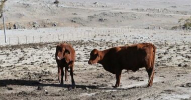 Where 'day-zero droughts' could happen as soon as this decade