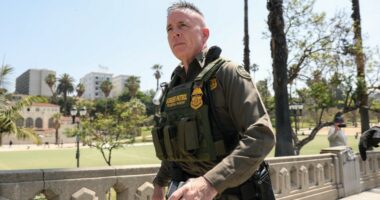 Who is Gregory Bovino, the fed overseeing Chicago immigration blitz?