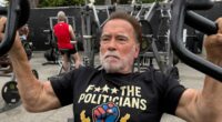 Why Arnold Schwarzenegger is fighting Gavin Newsom's gerrymandering