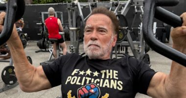 Why Arnold Schwarzenegger is fighting Gavin Newsom's gerrymandering