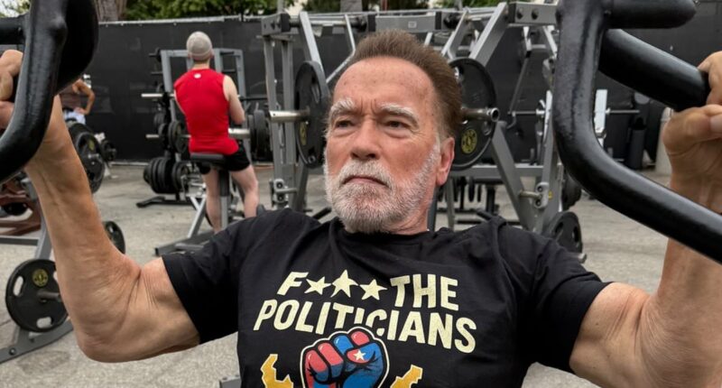 Why Arnold Schwarzenegger is fighting Gavin Newsom's gerrymandering