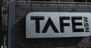 Why some Aussies are turning their back on university for TAFE