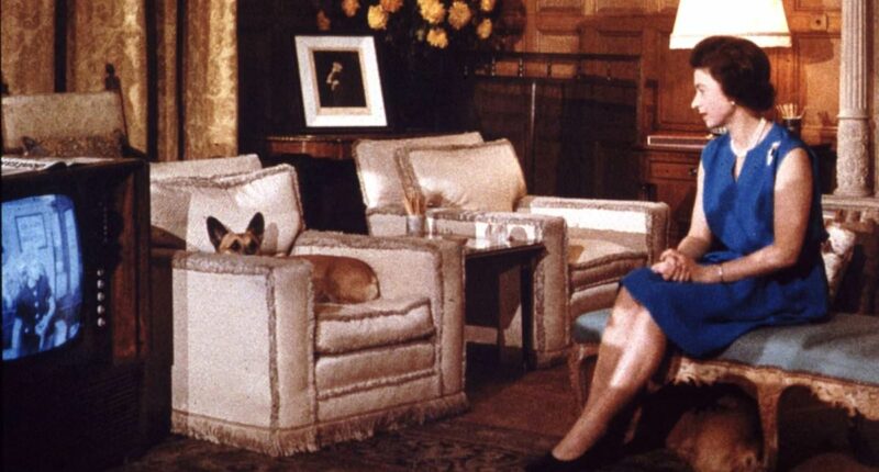 Why the Queen hated Channel 4's morning racing coverage, according to royal author