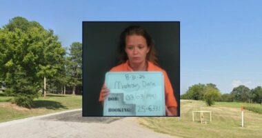 Wife backed over husband after argument: Police