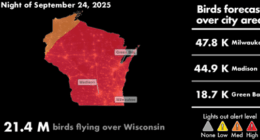 Wisconsin residents urged to turn off outdoor lights to protect migrating birds