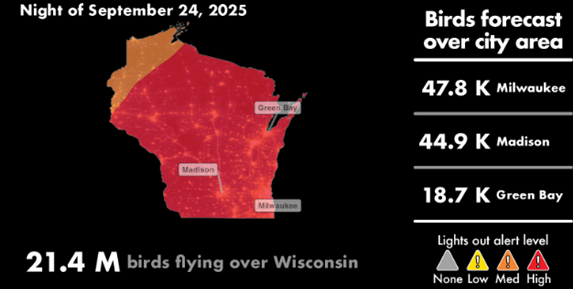 Wisconsin residents urged to turn off outdoor lights to protect migrating birds