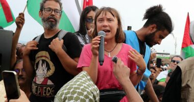 Woke-on-woke fury brings chaos to Greta Thunberg's Gaza flotilla