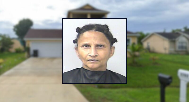 Woman allegedly threatens to 'chop' cable company employee