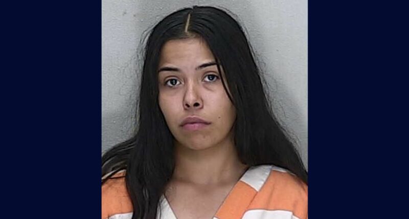 Woman assaulted mom, brother over missing PlayStation game