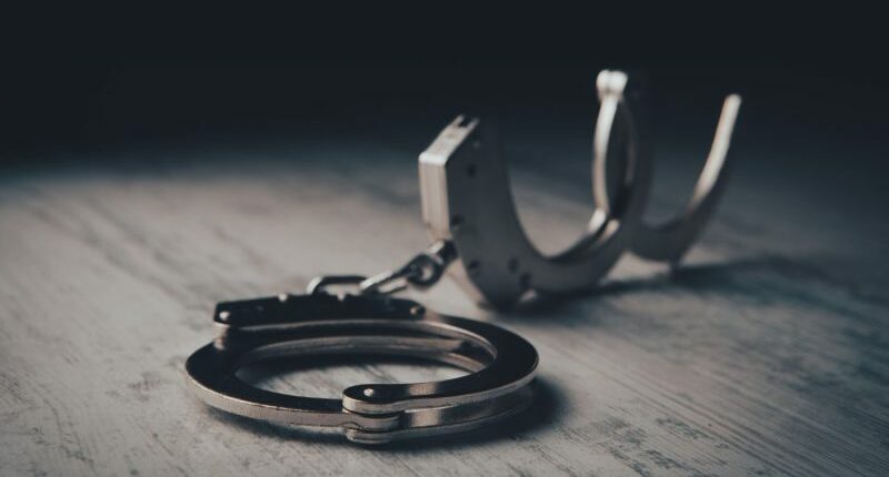 Woman charged with 72 counts of petition fraud, perjury in multiple Florida counties