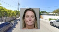 Woman freaks out over 'stolen' phone that was in car: Cops