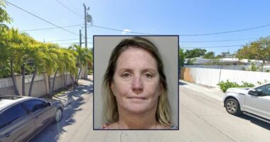 Woman freaks out over 'stolen' phone that was in car: Cops