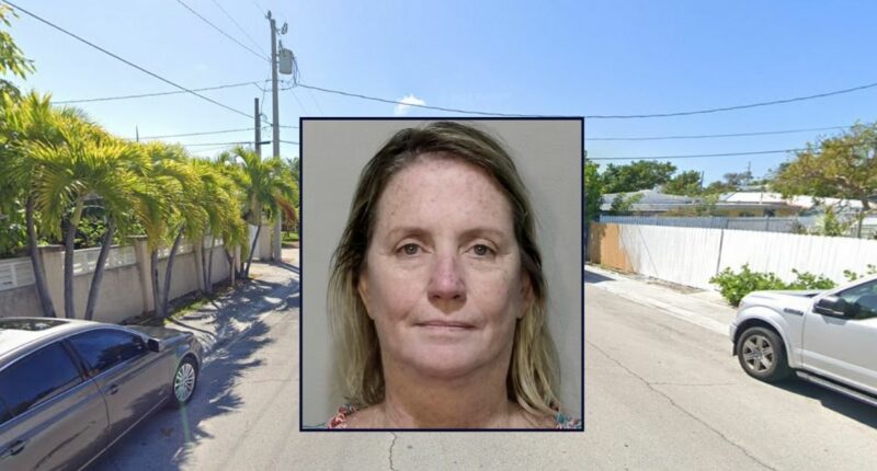 Woman freaks out over 'stolen' phone that was in car: Cops