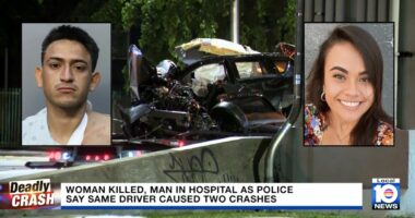 Woman killed in hit-and-run by 'sarcastic' drunk: Police