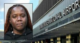 Woman tried to take a 4-year-old from mom at airport: Police