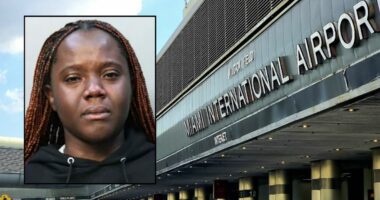 Woman tried to take a 4-year-old from mom at airport: Police