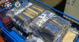 Workers arrested after police open false wall in shipping container