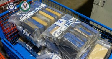 Workers arrested after police open false wall in shipping container
