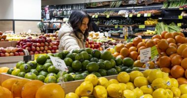 Would SNAP, WIC be disrupted by a government shutdown?