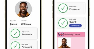 Would YOU trust all your digital data to a Labour 'superapp'?