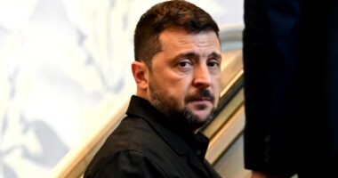 Zelenskyy 'ready' to exit office if war ends, open to elections in ceasefire
