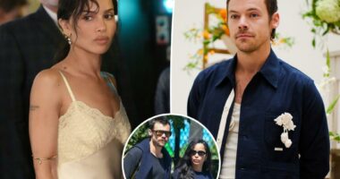 Zoe Kravitz and Harry Styles hang with friends