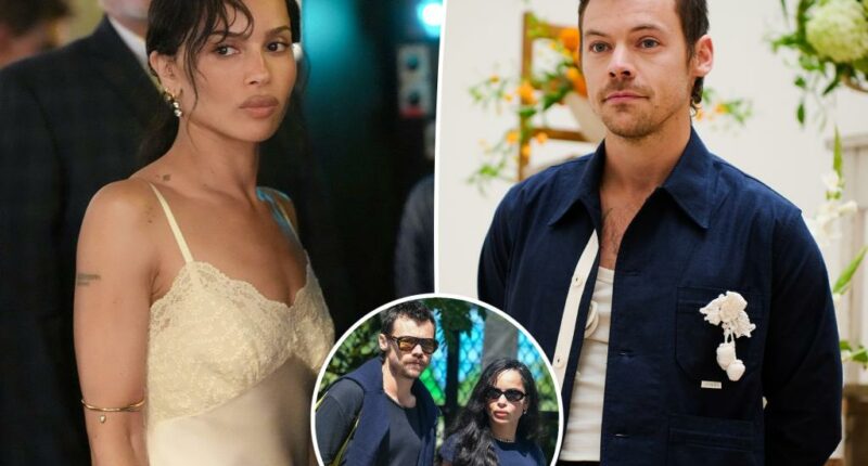 Zoe Kravitz and Harry Styles hang with friends