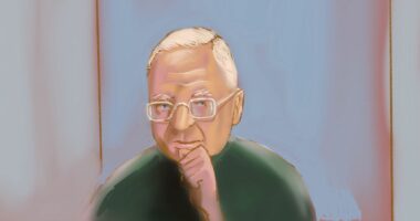 'Night Stalker' admits 18 rapes against eight women