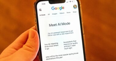 AI Is Destroying SEO. Rank Now Requires Answer Engine Optimization.