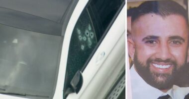 Accused underworld killer to walk free on bail